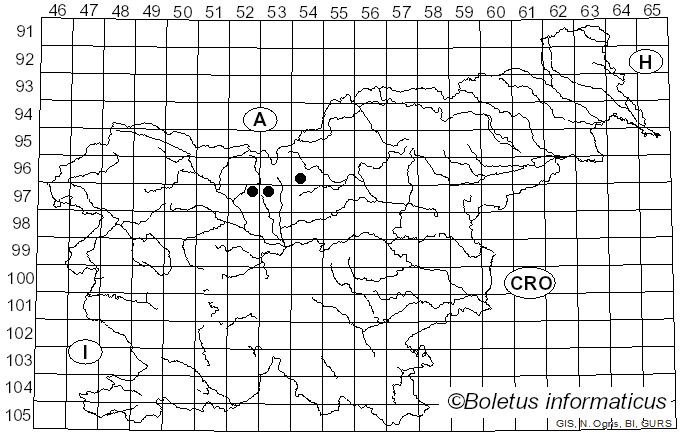 <i>Synchytrium mercurialis</i> (Lib.) Fuckel (1870)