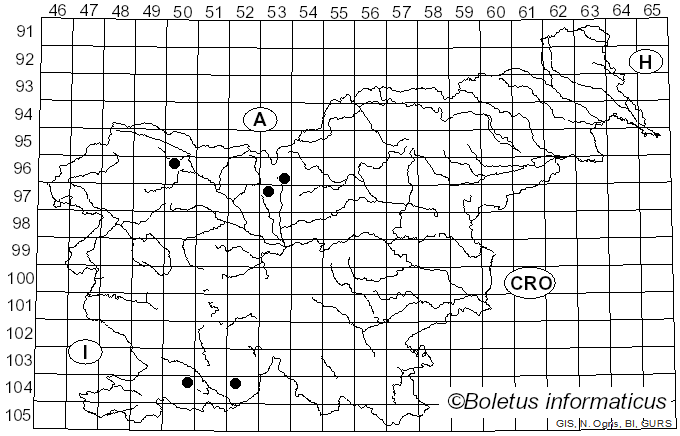 <i>Pirottaea</i> Sacc. (1878)