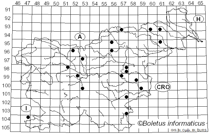 <i>Stigmella splendidissimella</i> Herrich-Shäffer (1855)