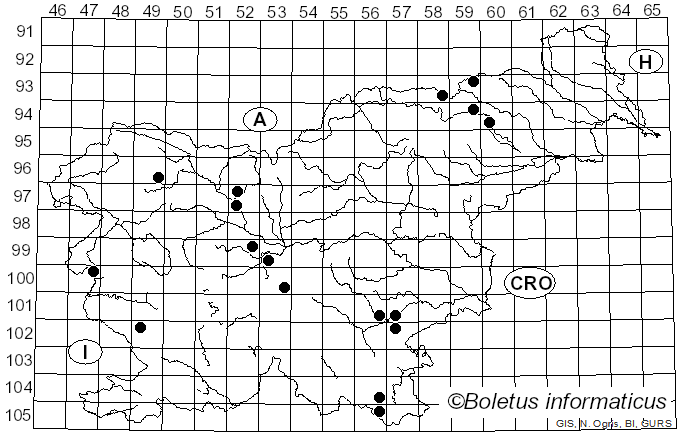 <i>Agaricus dulcidulus</i> Schulzer (1874)