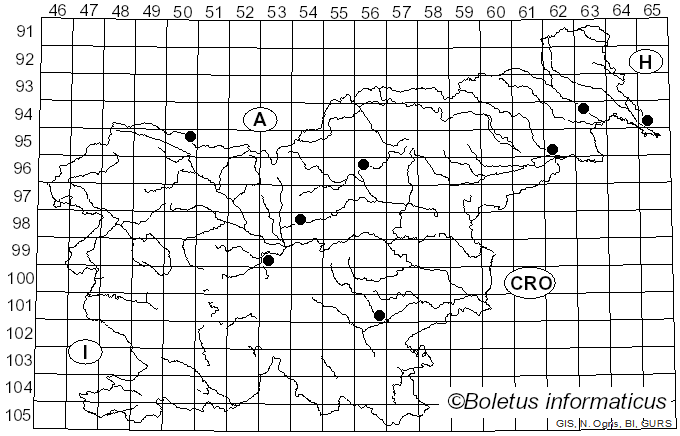 <i>Melampsora laricis-populina</i> Kleb. (1902)