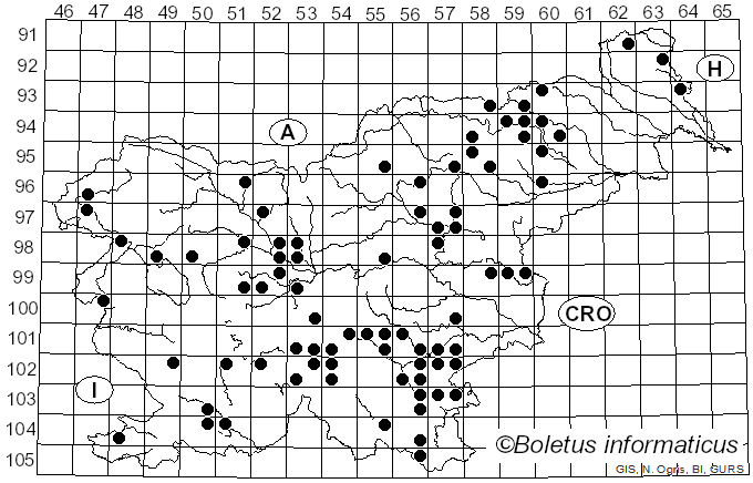<i>Russula melliolens</i> Quél. (1901)
