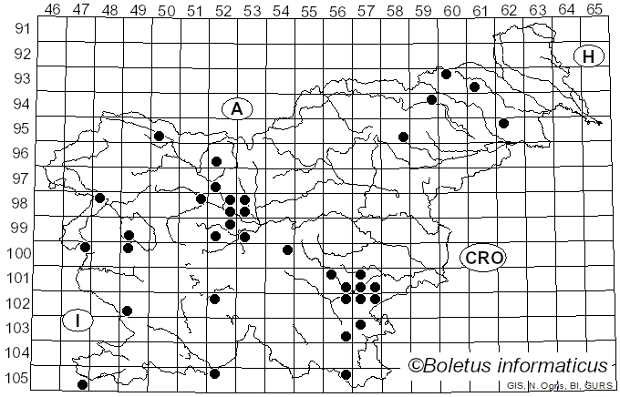 <i>Hygrophorus discoxanthus</i> Rea (1908)