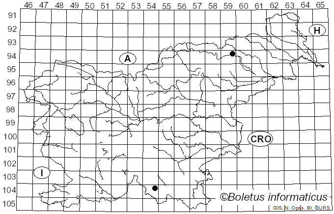 <i>Cortinarius intermedius</i> Rob. Henry (1952)