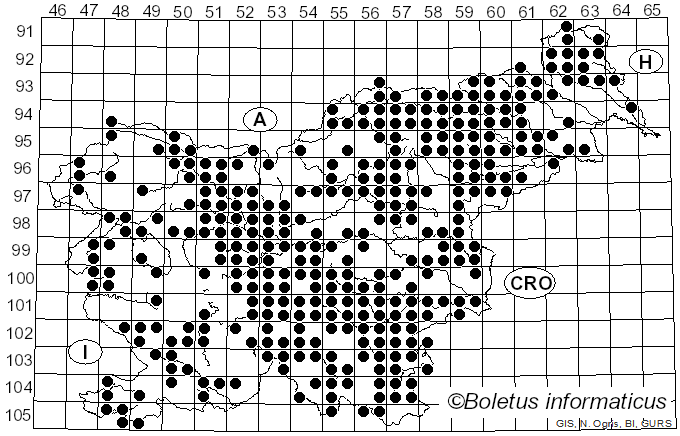 <i>Leccinum</i> Gray (1821)