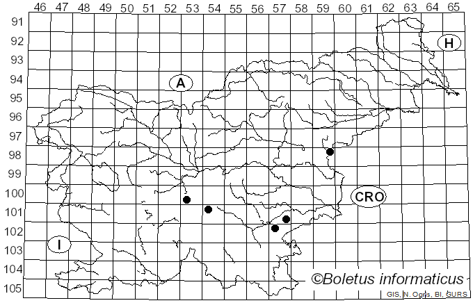 <i>Xylobolus subpileatus</i> (Berk. & M.A. Curtis) Boidin (1958)
