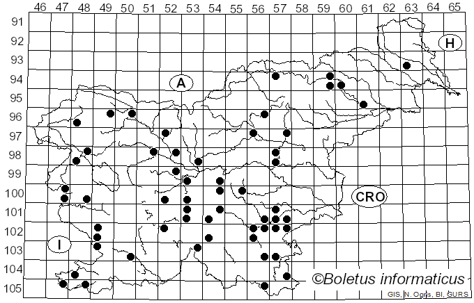 <i>Hohenbuehelia petaloides</i> (Bull.) Schulzer (1866)