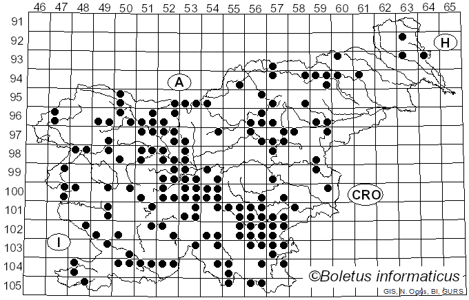 <i>Russula aurea</i> Pers. (1796)