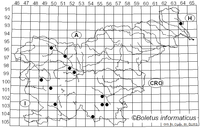 <i>Ceriporiopsis</i> Domanski (1963)