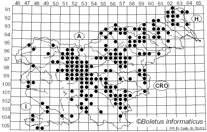 <i>Suillus variegatus</i> (Sw.) Kuntze (1898)