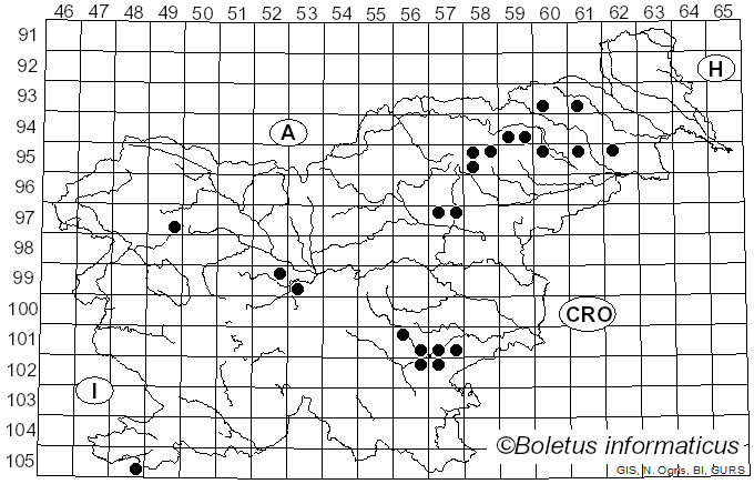 <i>Russula anatina</i> Romagn. (1967)