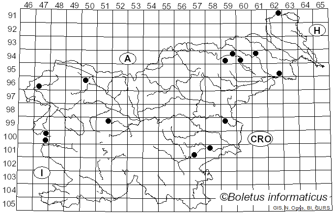 <i>Conocybe rickenii</i> (Jul. Schäff.) Kühner (1935)