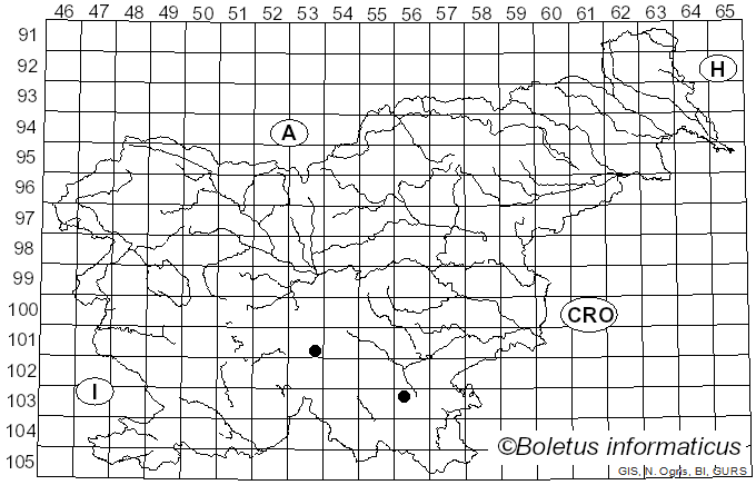 <i>Hydnum mulsicolor</i> Liimat. & Niskanen (2018)