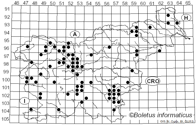 <i>Hygrophorus discoideus</i> (Pers.) Fr. (1838)