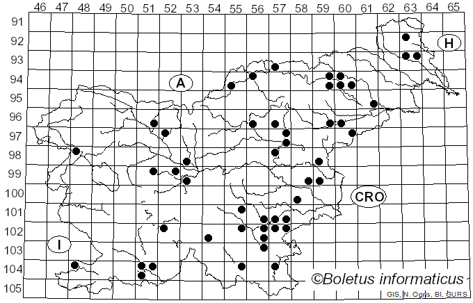 <i>Creolophus</i> P. Karst. (1879)