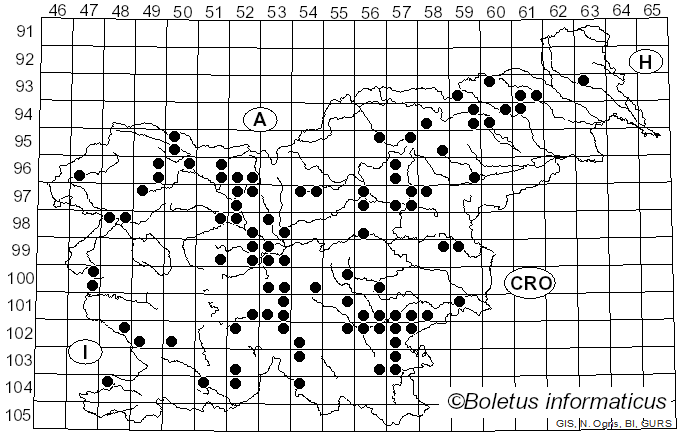 <i>Hygrophorus chrysodon</i> (Batsch) Fr. (1838)