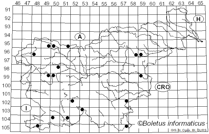 <i>Bovistella</i> Morgan (1892)