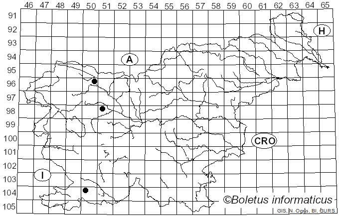 <i>Henningsomyces candidus</i> (Pers.) Kuntze (1898)