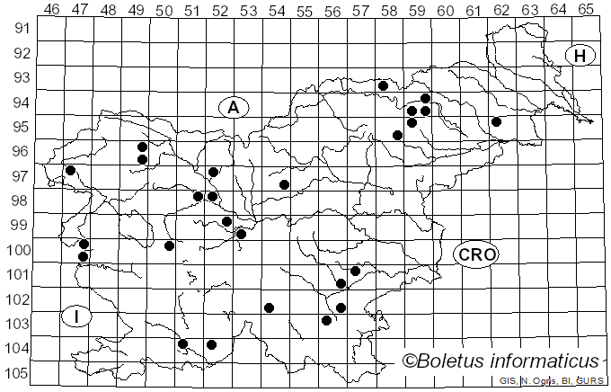 <i>Mycena aurantiomarginata</i> (Fr.) Quél. (1872)