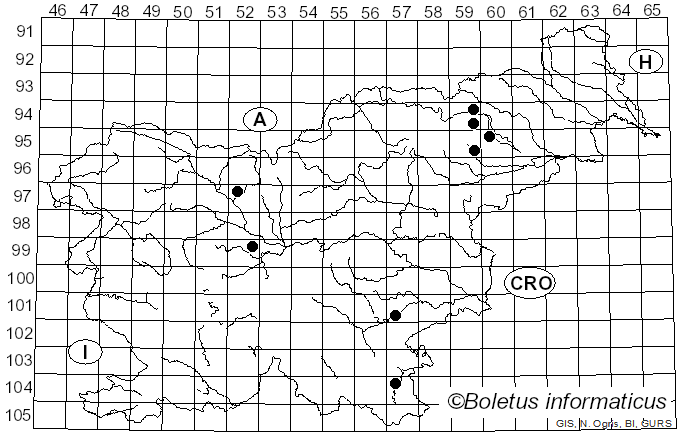 <i>Clitocybe brumalis</i> (Fr.) Gillet (1874)