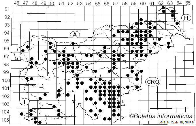 <i>Artomyces pyxidatus</i> (Pers.) Jülich (1982)