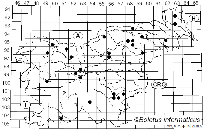 <i>Sarcodon leucopus</i> (Pers.) Maas Geest. & Nannf. (1969)