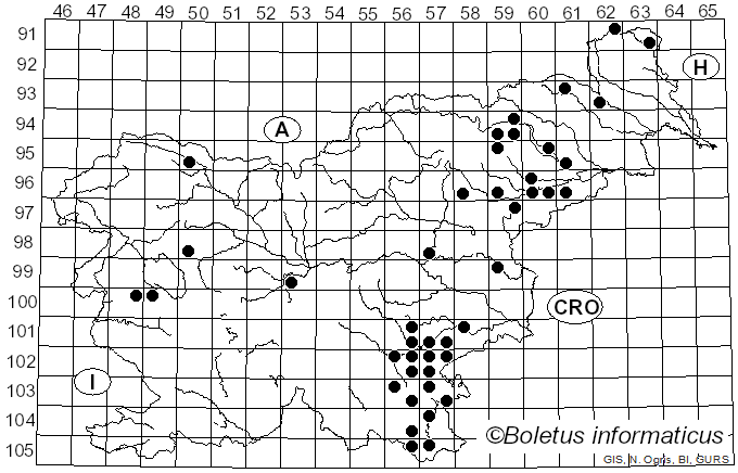 <i>Candolleomyces</i> D. Wächt. & A. Melzer (2020)