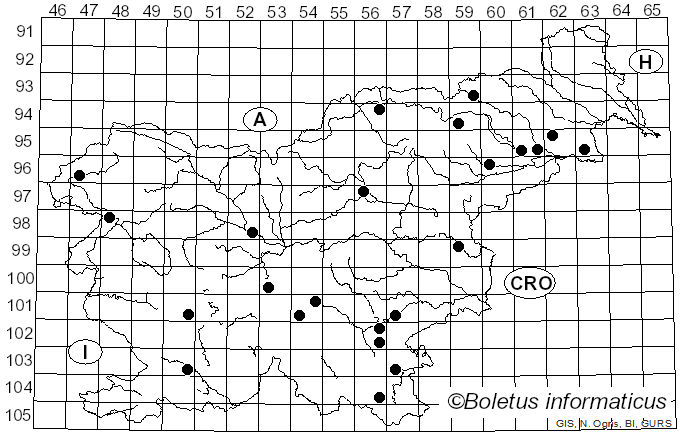 <i>Neoboletus xanthopus</i> (Klofac & A. Urb.) Klofac & A. Urb. (2014)