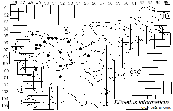 <i>Cheilosia canicularis</i> Panzer (1801)
