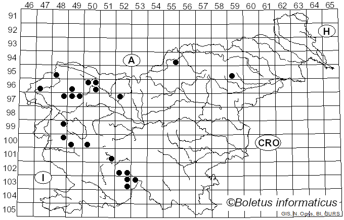 <i>Flavoparmelia</i> Hale (1986)