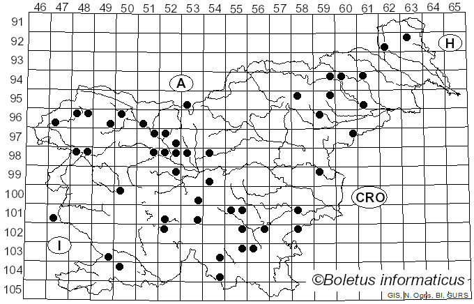<i>Ascocoryne sarcoides</i> (Jacq.) J.W. Groves & D.E. Wilson (1967)