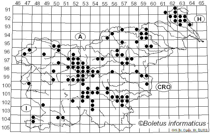 <i>Tricholoma equestre</i> (L.) P. Kumm. (1871)