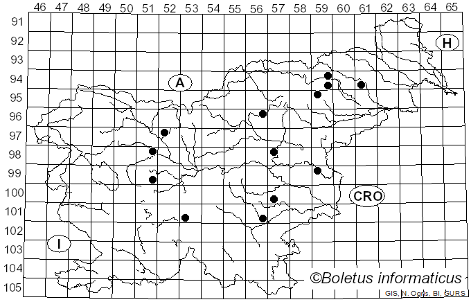<i>Hebeloma pallidoluctuosum</i> Gröger & Zschiesch. (1984)