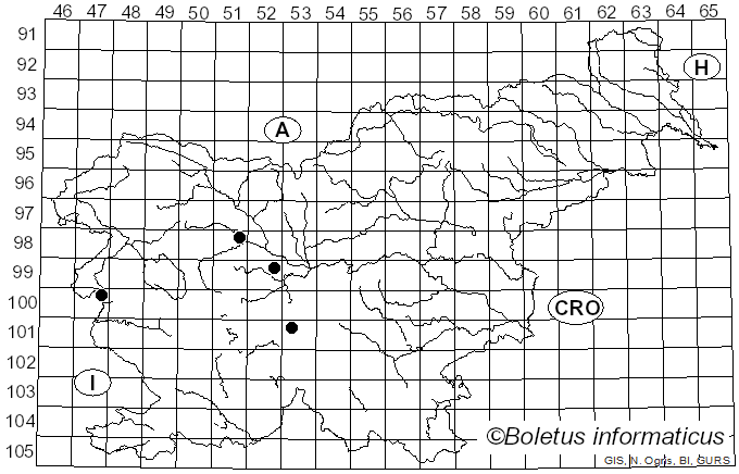 <i>Hebeloma testaceum</i> (Batsch) Quél. (1872)