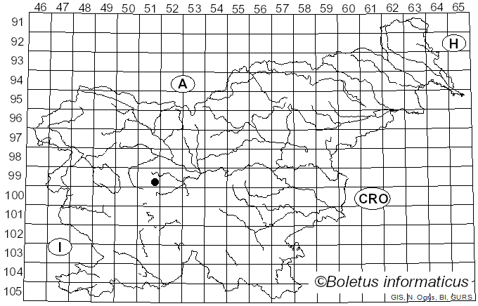 <i>Penicillium brevicompactum</i> Dierckx (1901)