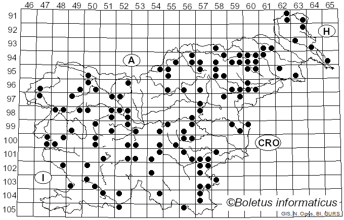 <i>Xylaria longipes</i> Nitschke (1867)