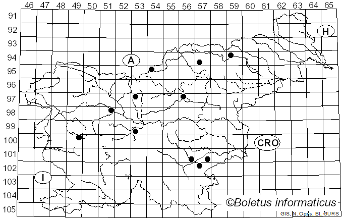 <i>Xylaria filiformis</i> (Alb. & Schwein.) Fr. (1849)