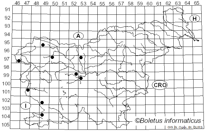 <i>Didymella</i> Sacc. (1880)