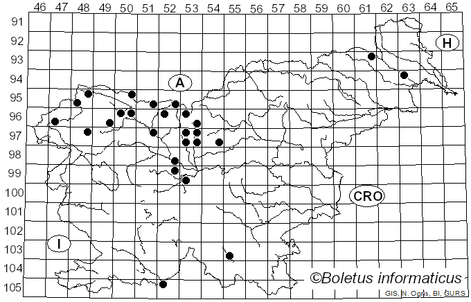 <i>Leptosphaeria</i> Ces. & De Not. (1863)