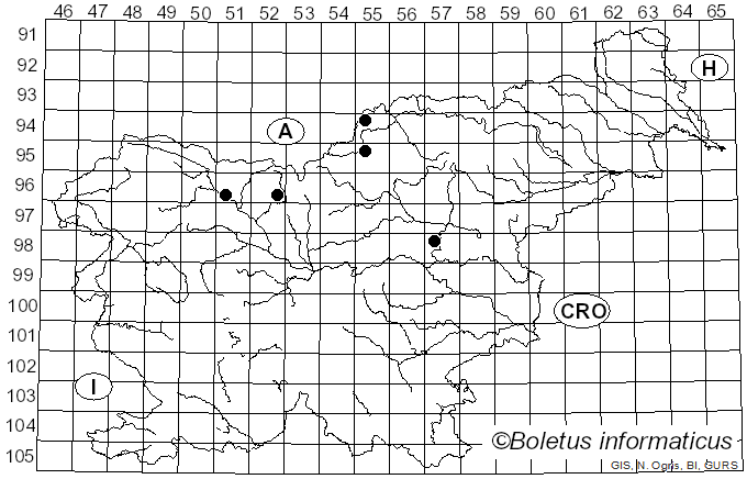 <i>Pustula tragopogonis</i> (Pers.) Thines (2005)