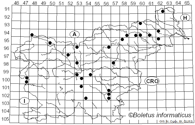 <i>Pseudosperma squamatum</i> (J.E. Lange) Matheny & Esteve-Rav. (2019)