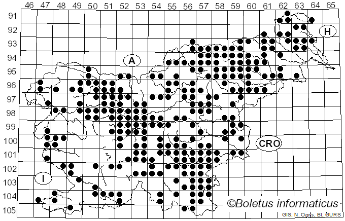 <i>Russula vesca</i> Fr. (1836)