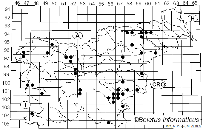 <i>Hemimycena cucullata</i> (Pers.) Singer (1961)