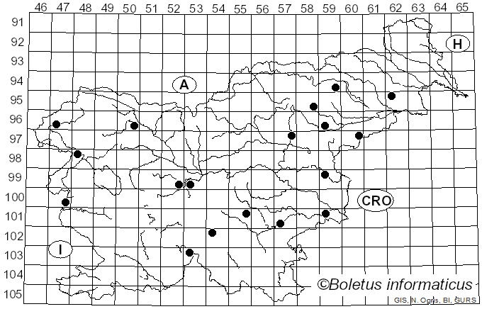 <i>Psathyrella corrugis</i> (Pers.) Konrad & Maubl. (1949)