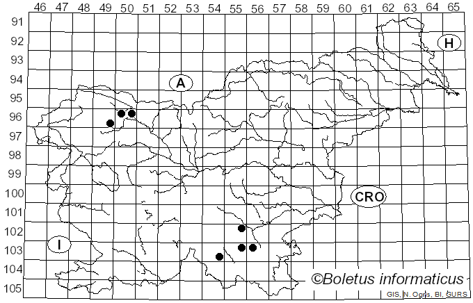 <i>Xylodon asper</i> (Fr.) Hjortstam & Ryvarden (2009)