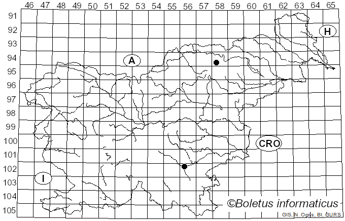 <i>Phaeocollybia jennyae</i> (P. Karst.) Romagn. (1944)
