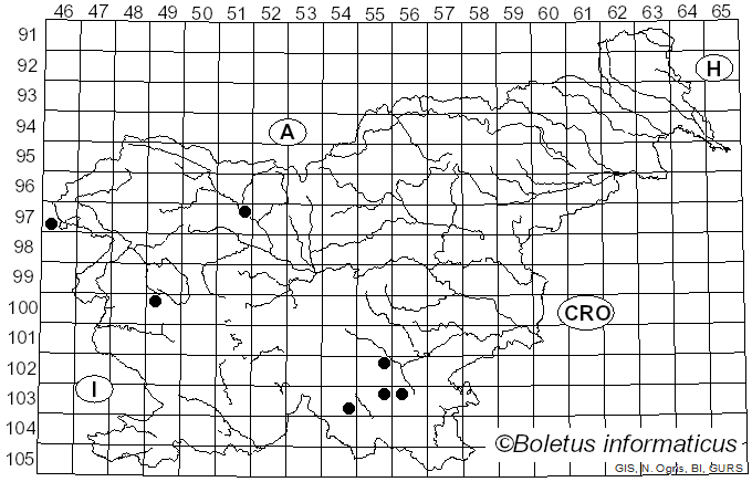 <i>Sidera lenis</i> (P. Karst.) Miettinen (2011)