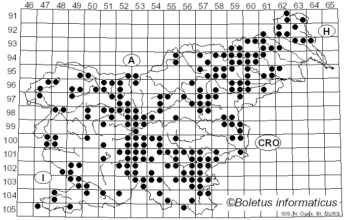 <i>Agaricus sylvicola</i> (Vittad.) Peck (1872)