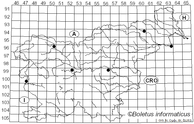 <i>Coryneum</i> Nees (1816)