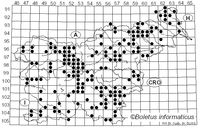 <i>Panellus</i> P. Karst. (1879)